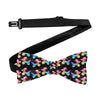 Rainbow Dogs Balloon Animal Bow Tie
