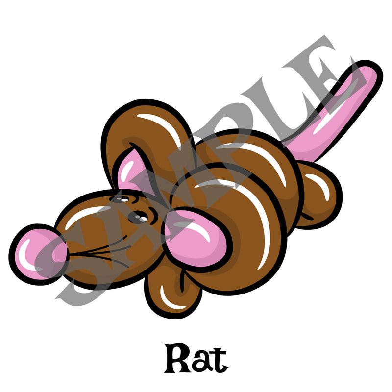 Rat